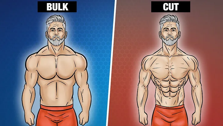 The Ultimate Guide to Effective Bulk and Cut Phases