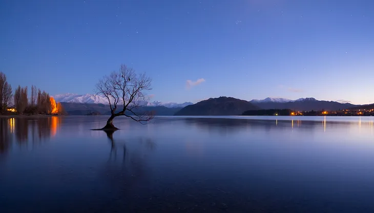 With dawn approaching, stars twinkle in the sky above the famous tree at Lake Wanaka, on New Zealand’s South Island.