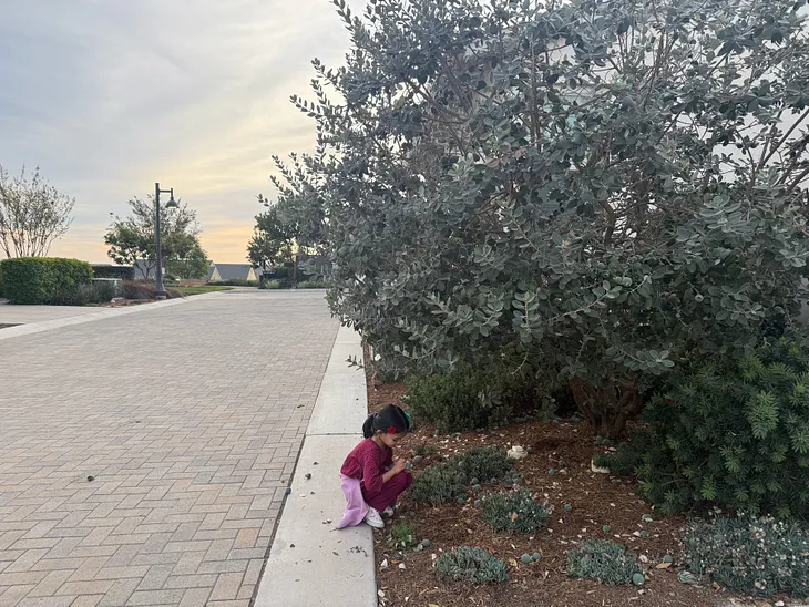 Teaching Foraging to My Kid