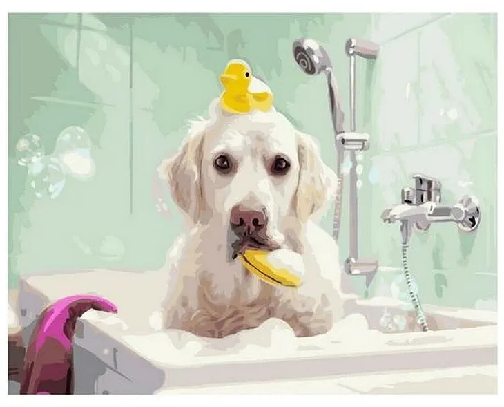 Non-Medicated Pet Shampoo Market Trends: What Pet Owners Are Looking For