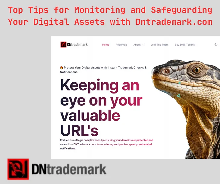 Top Tips for Monitoring and Safeguarding Your Digital Assets with Dntrademark.com