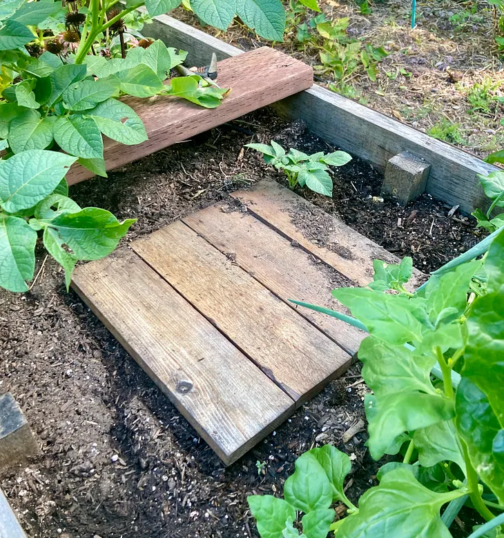 Affordable In-Ground Composting: A DIY Alternative to Lomi, Mill, and Subpod