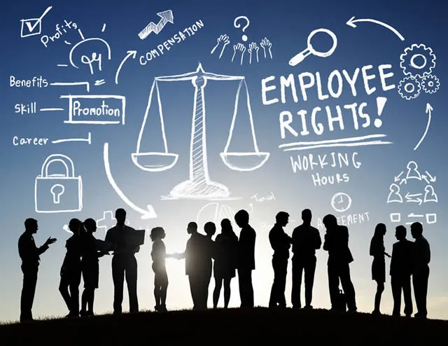 The Power of Labor Laws: How They Shape Employment and Wage Dynamics