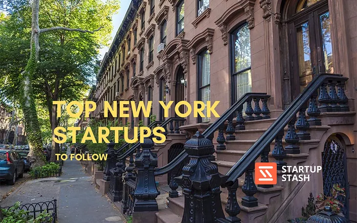 Top New York Startups That Bloomed in 2023