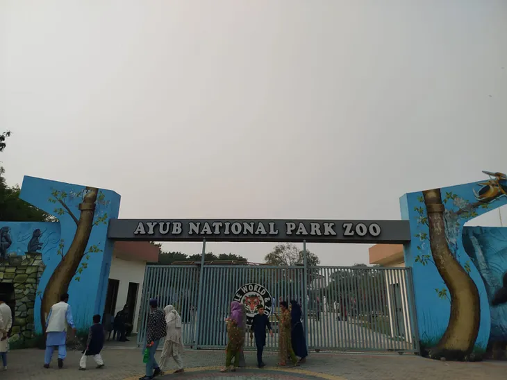 My Visit to Jungle World, Ayub National Park, Rawalpindi