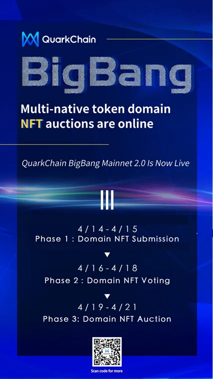 Process of Multi-Native Token Domain NFT Auction on BigBang Mainnet