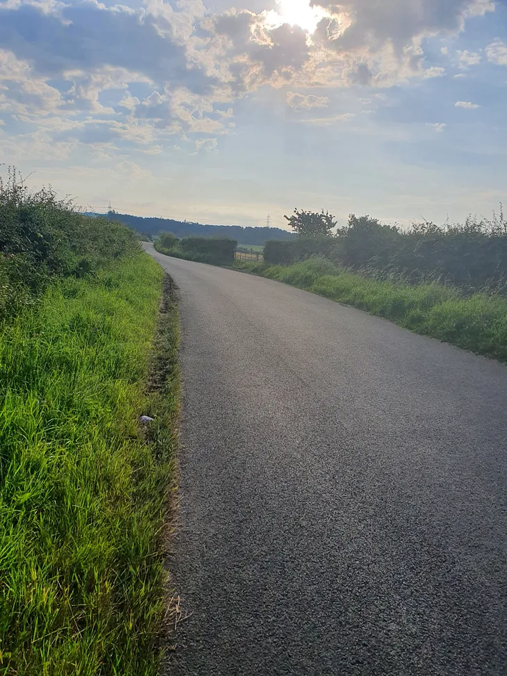 My first proper year in road cycling