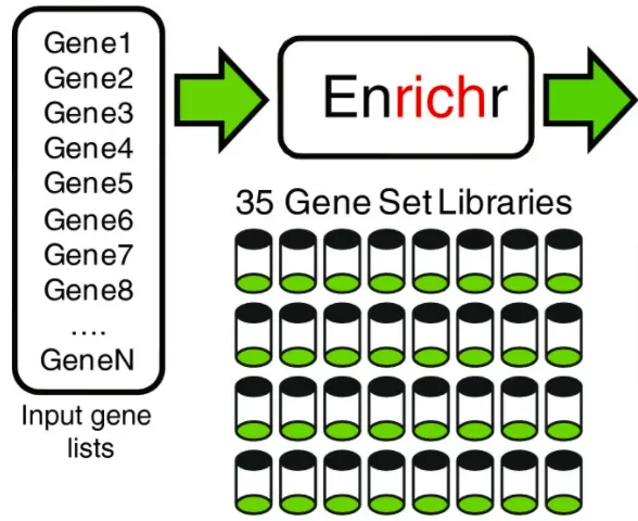 How to use GSEApy for pathway enrichment analysis