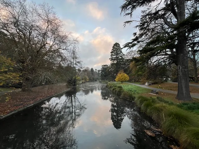 Reflection of the beautiful trees on a small river in Hagley Park, Christchurch, New Zealand.