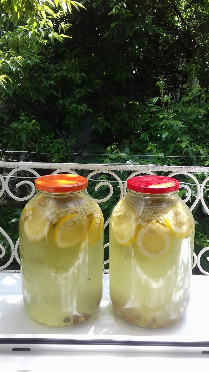 Elderflower Fermented Drink