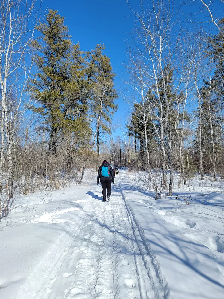 The Beauty of Walking in the Snow