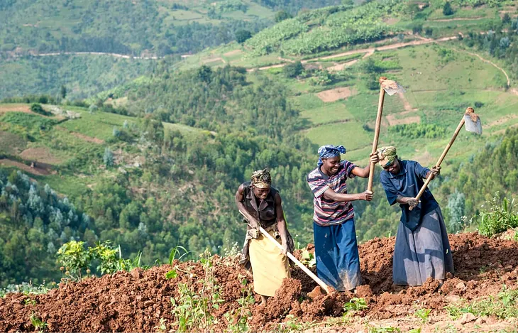 Insurtech | The Business Models: How is Crop Microinsurance Provided?