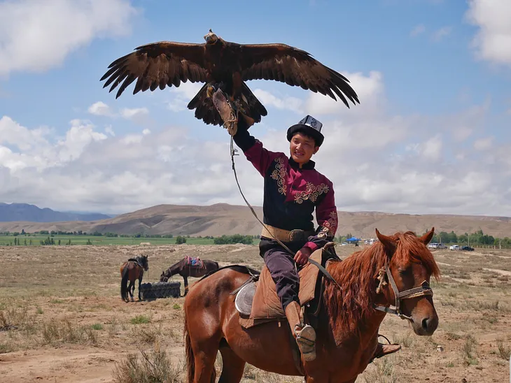 The eagle hunter wears traditional dress and sits on his horse while raising his arm in the air, presenting his eagle to the crowd. Its wings are open and the bird looks a similar size to the horse.