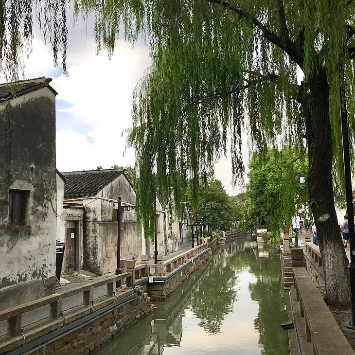 Settling into life in Suzhou