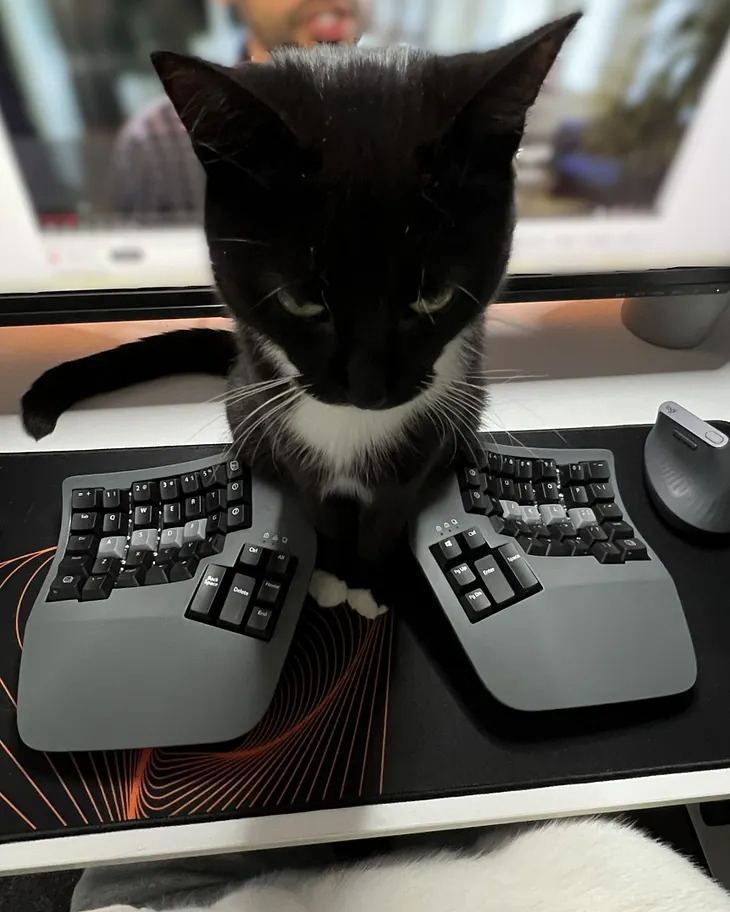 I tried a split keyboard and it got me thinking