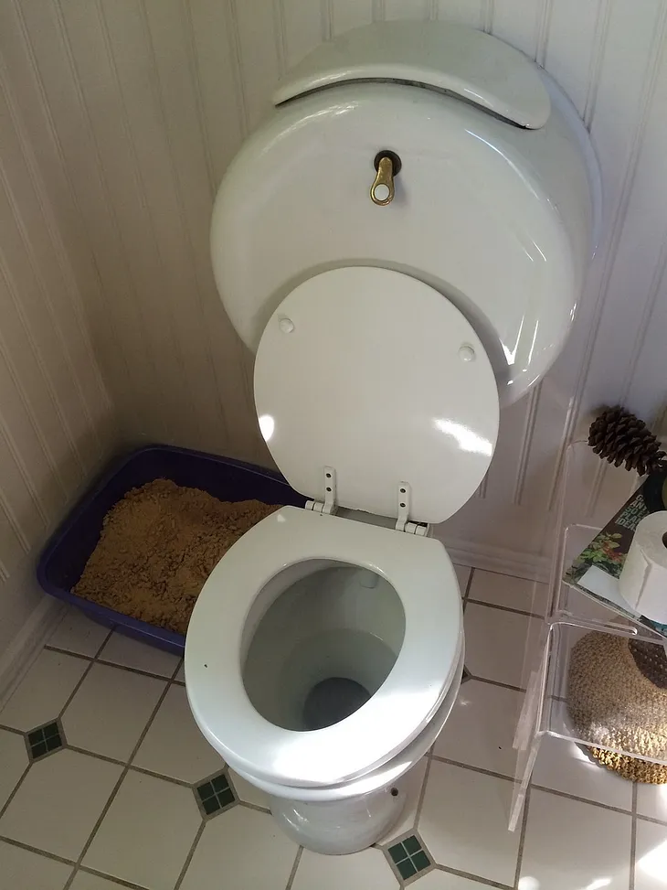 A toilet bowl.