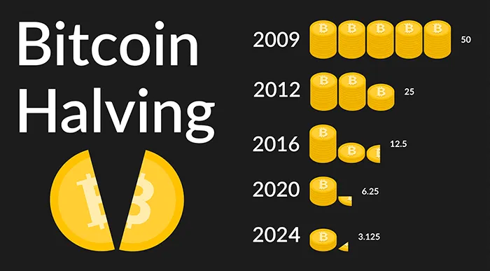 What will happen after the Bitcoin halving? Experts weigh in on historic moment