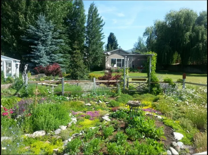 LOW MAINTENANCE GARDEN…and the kindness of neighbors