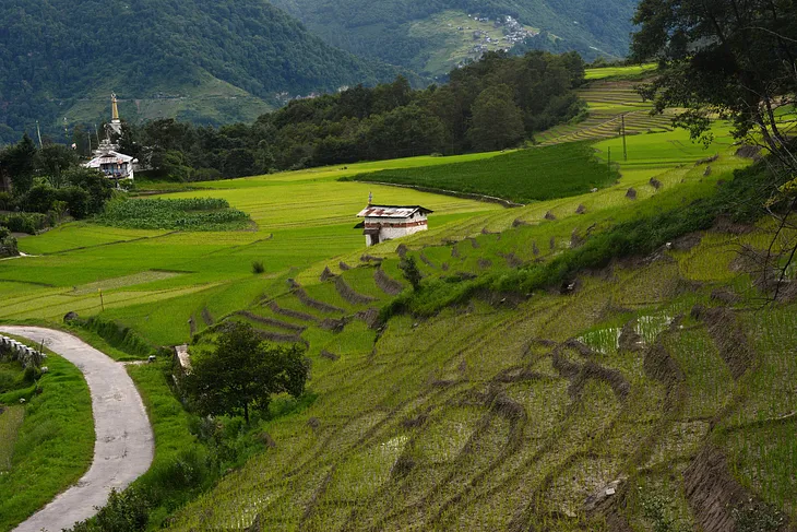 Best Places to Visit in Ziro Valley