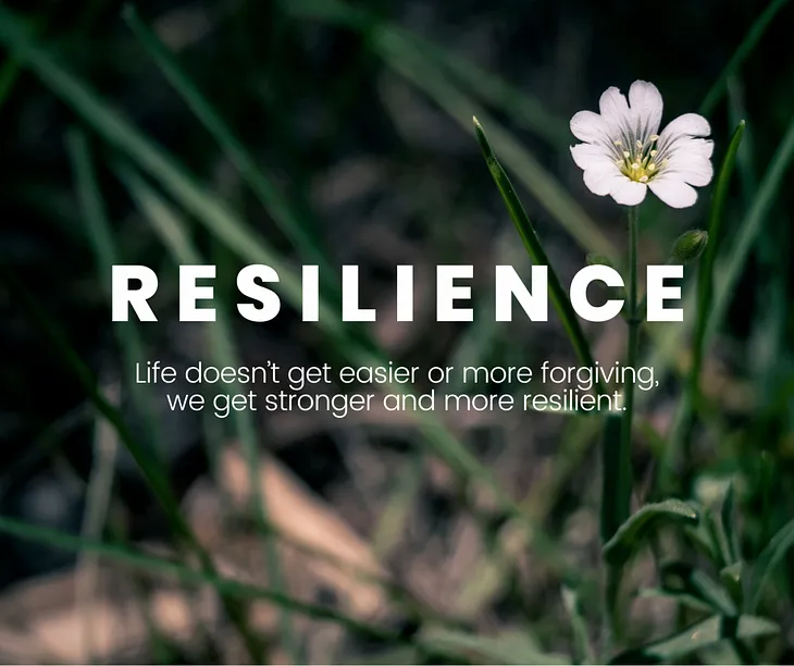 Cultivating Resilience in Adversity