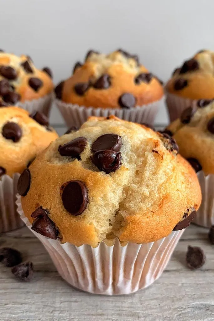 Chocolate Chip Muffins Recipe / No Mixer Needed