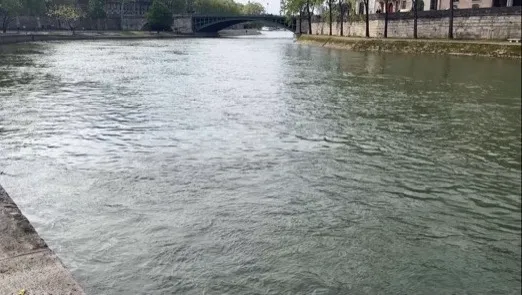 Ready to Swim in the Seine River?