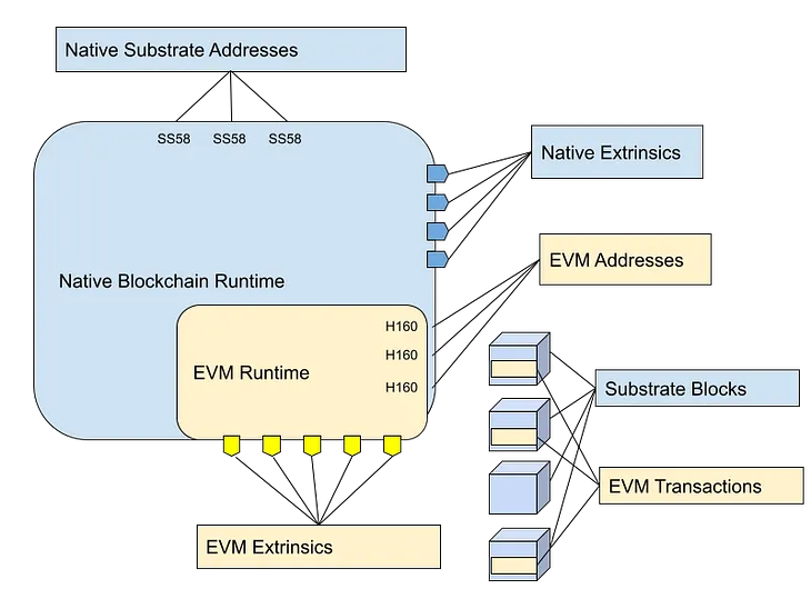 Substrate & EVM address