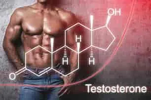 The Science of Testosterone & How to Optimize Your Levels