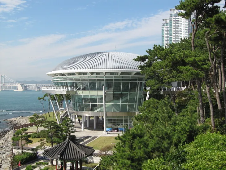 Analysis | Trump-Xi in Busan: A Tactical Pause in the Critical Minerals Standoff