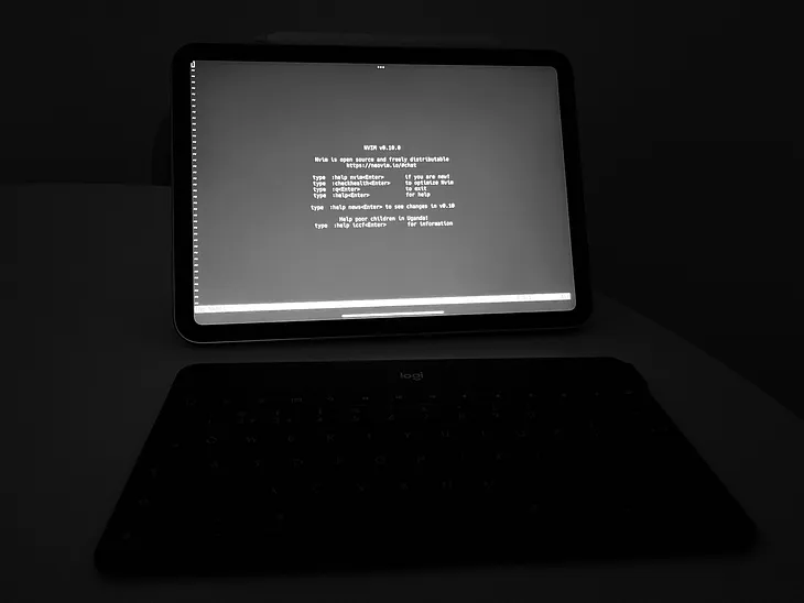 Run Neovim on Your iPad with iSH!