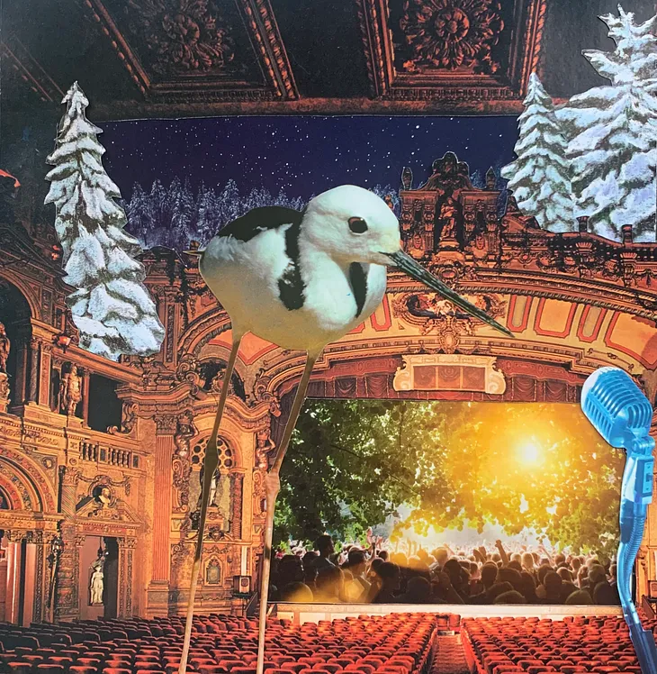 Photo of an original paper collage by the author. A sea bird perched on long legs stands in front of a microphone in the foreground, while behind it, an old, ornate theater stands empty and onstage, a festival scene unfolds in golden sunshine. The sky above shines with stars illuminating snow covered conifers.