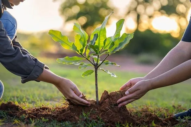 National Tree Growing Day.