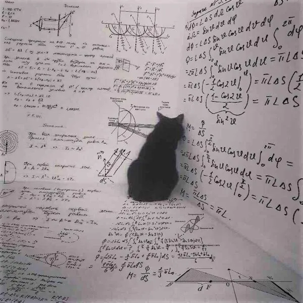 Schrödinger’s Cat Revisited…