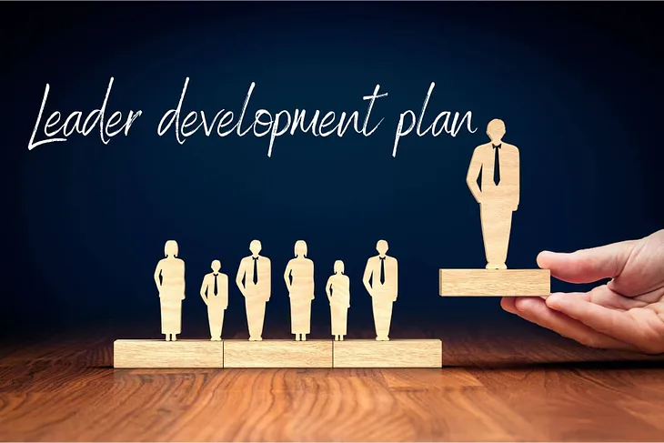 Leader development plan