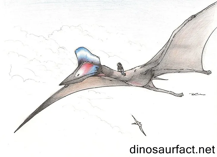 Queerer Than A Quetzalcoatlus: The Largest Flying Lizard?