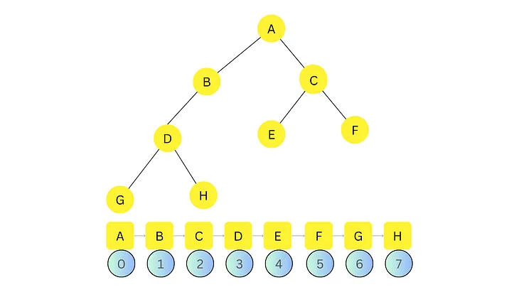 DSA Types of Binary Trees