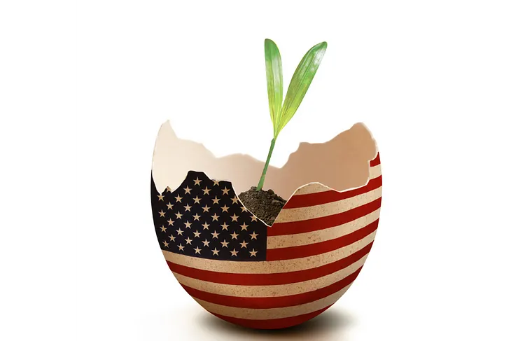 a broken egg covered by an American flag image, filled with soil, and a new budding plant leaf