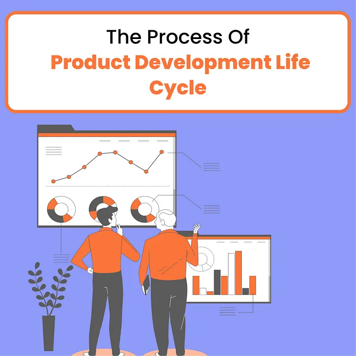 The Step By Step Process Of Product Development Life Cycle: A Practical Guide