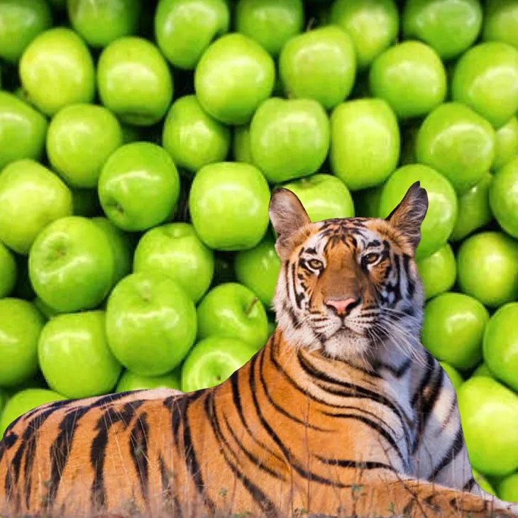 Apples & Tigers: An iron year closes, dragging curtains into the breeze