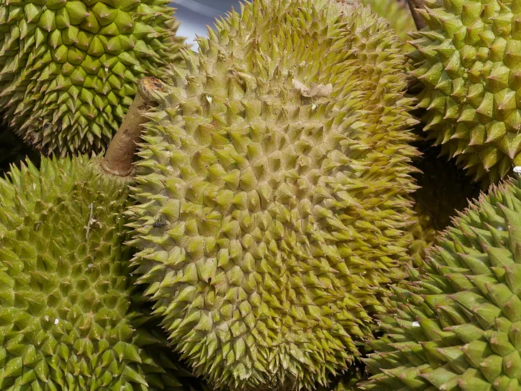 Durian — The King of Fruits