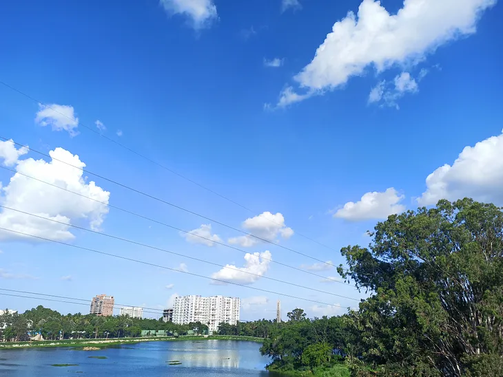 Reflections by the Lake: Embracing Nature’s Teachings