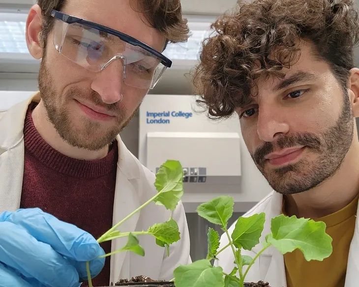 These lab-grown plants can clean up polluted land from heavy metals