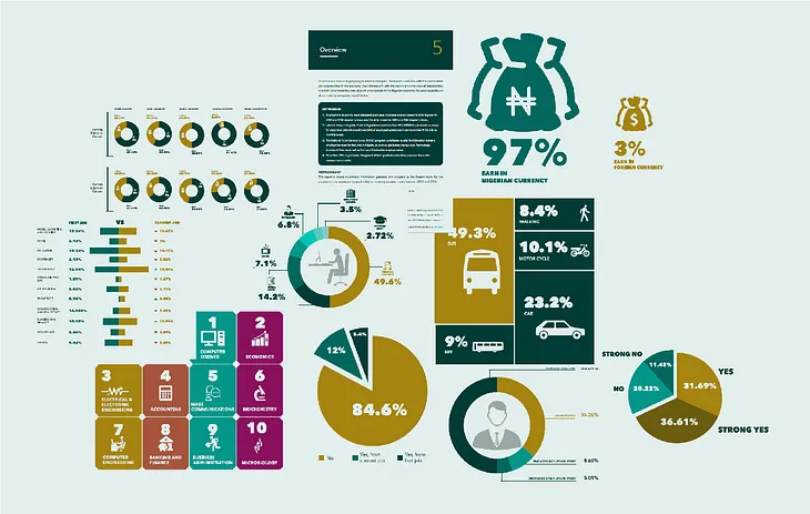 Design Journey of The Nigerian Graduate Report