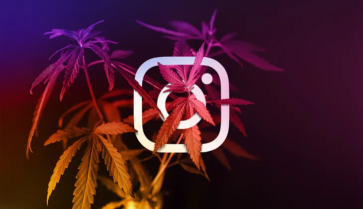 How To Stop Your Cannabis Instagram Account From Getting Taken Down