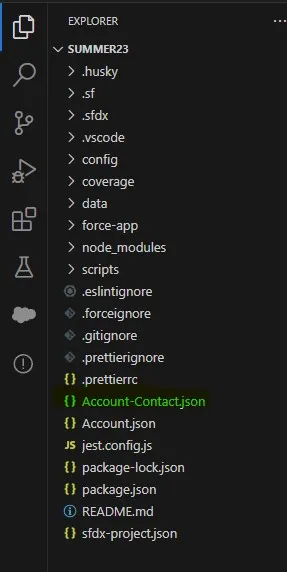 Salesforce: Effortless Data Migration with Salesforce CLI: A Visual Studio Code Guide