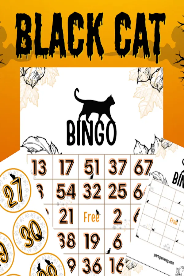 Black Cat Themed Halloween Games