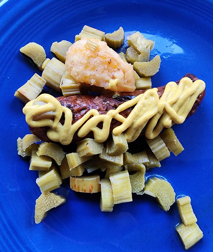 Sausage fermented rhubarb — photo by Author