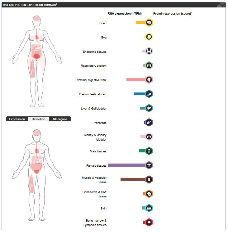 (Data source: proteinatlas)