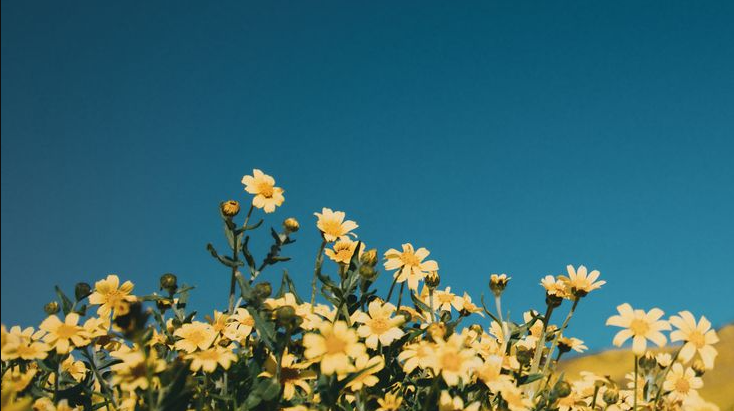 Is self-doubt the only thing holding me back?