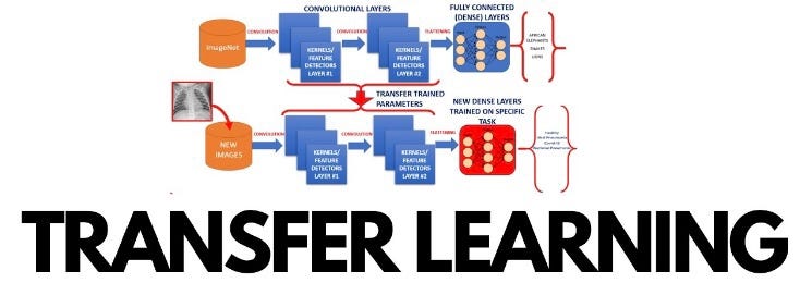 Unraveling the Magic of Transfer Learning: A Paradigm Shift in Machine ...